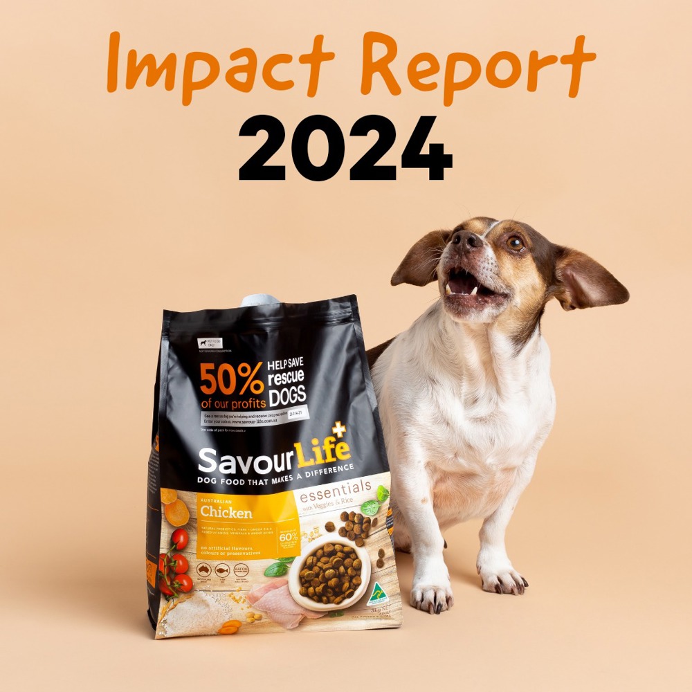 Our 2024 Impact!