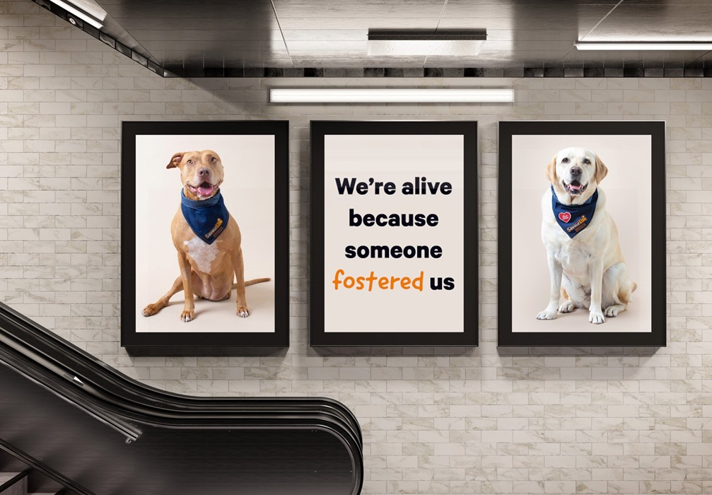 Focus on Foster Care Month