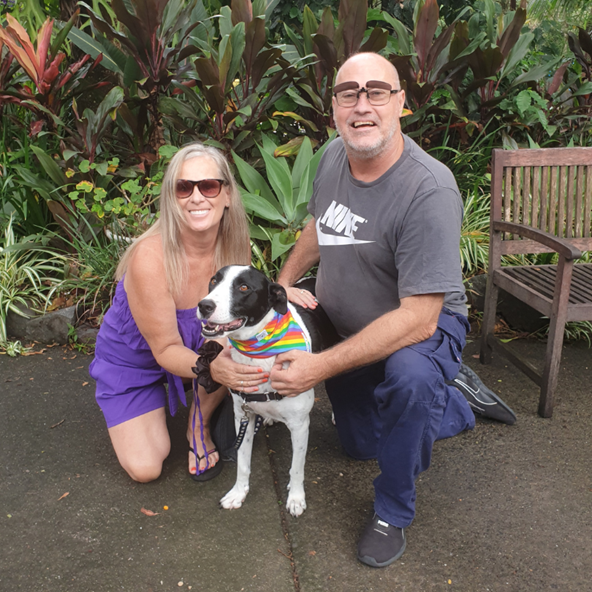 Happy ever after with Sunshine Coast Animal Refuge!