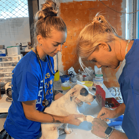 Supporting remote communities with animal care